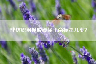 非纺织用橡胶线属于商标第几类？