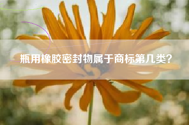 瓶用橡胶密封物属于商标第几类？