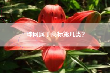 球网属于商标第几类？