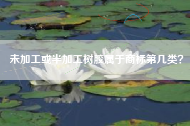未加工或半加工树胶属于商标第几类？