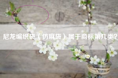 尼龙编织袋（仿麻袋）属于商标第几类？
