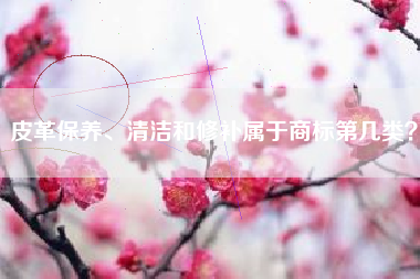 皮革保养、清洁和修补属于商标第几类？