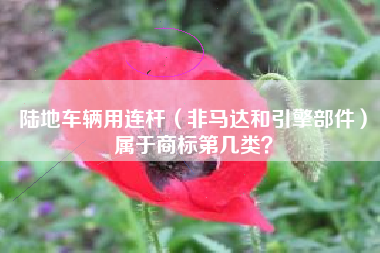 陆地车辆用连杆（非马达和引擎部件）属于商标第几类？