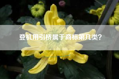 登机用引桥属于商标第几类？