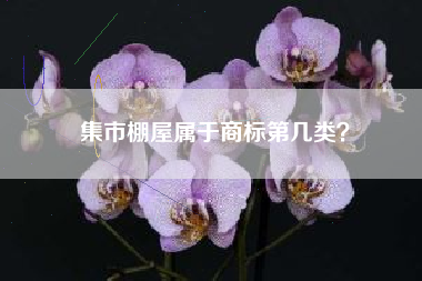 集市棚屋属于商标第几类？