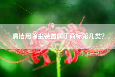 清洁用除尘装置属于商标第几类？