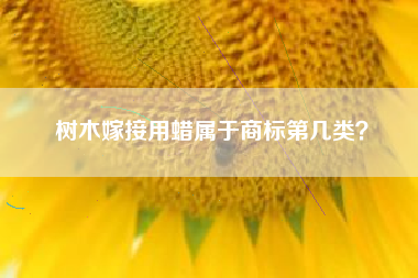 树木嫁接用蜡属于商标第几类？