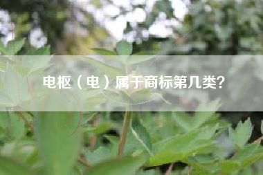 电枢（电）属于商标第几类？