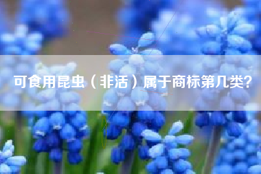 可食用昆虫（非活）属于商标第几类？