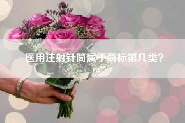医用注射针筒属于商标第几类？