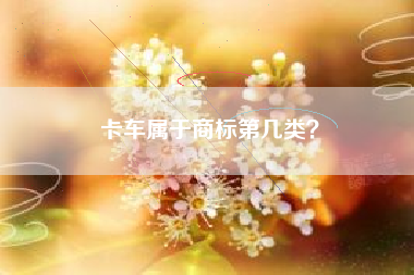 卡车属于商标第几类？