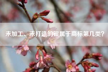 未加工、未打造的银属于商标第几类？