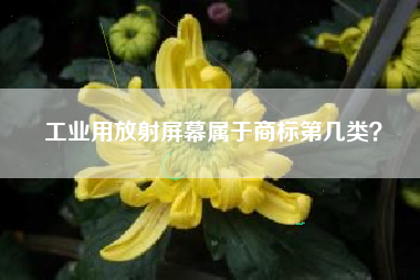 工业用放射屏幕属于商标第几类？