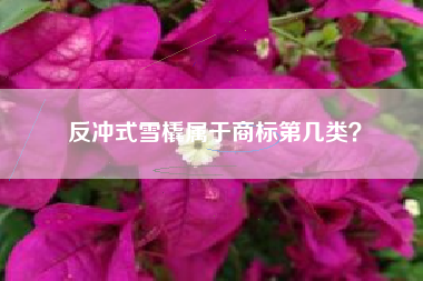 反冲式雪橇属于商标第几类？