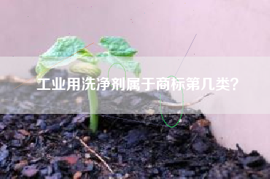 工业用洗净剂属于商标第几类？