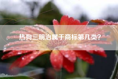 热狗三明治属于商标第几类？