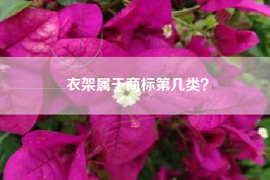衣架属于商标第几类？