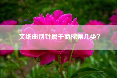 夹纸曲别针属于商标第几类？