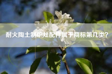 耐火陶土制炉灶配件属于商标第几类？