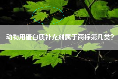 动物用蛋白质补充剂属于商标第几类？