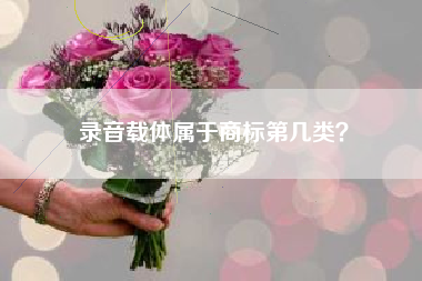 录音载体属于商标第几类？