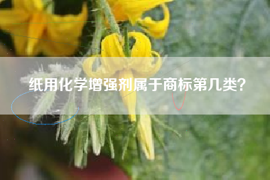 纸用化学增强剂属于商标第几类？