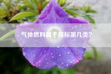 气体燃料属于商标第几类？