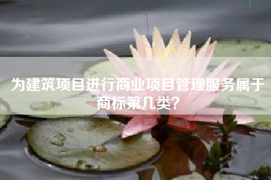 为建筑项目进行商业项目管理服务属于商标第几类？