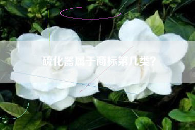 硫化器属于商标第几类？