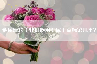 金属滑轮（非机器用）属于商标第几类？