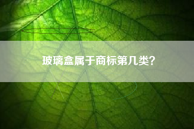 玻璃盒属于商标第几类？