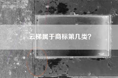 云梯属于商标第几类？