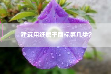 建筑用纸属于商标第几类？
