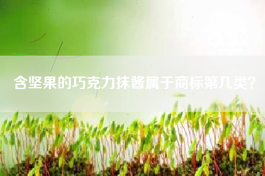 含坚果的巧克力抹酱属于商标第几类？