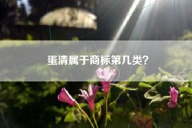 蛋清属于商标第几类？