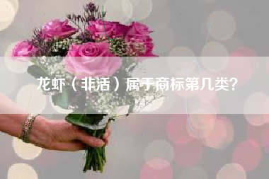 龙虾（非活）属于商标第几类？