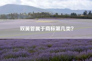 双簧管属于商标第几类？