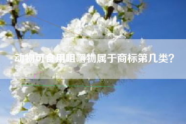 动物可食用咀嚼物属于商标第几类？
