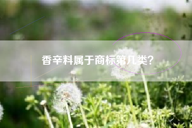 香辛料属于商标第几类？