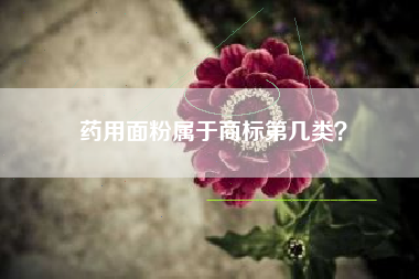 药用面粉属于商标第几类？
