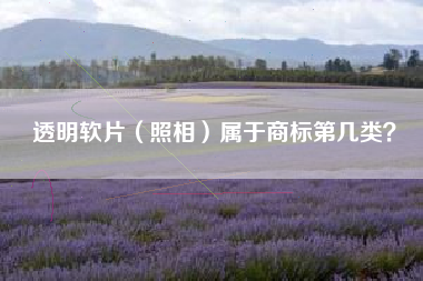 透明软片（照相）属于商标第几类？