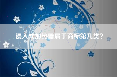浸入式加热器属于商标第几类？