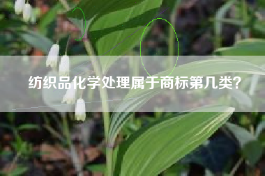 纺织品化学处理属于商标第几类？