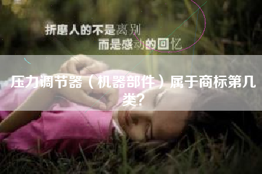 压力调节器（机器部件）属于商标第几类？