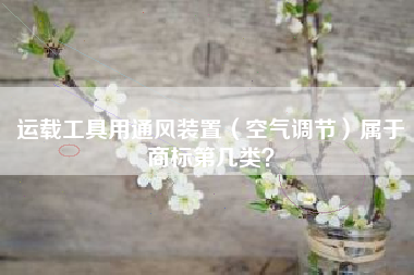运载工具用通风装置（空气调节）属于商标第几类？