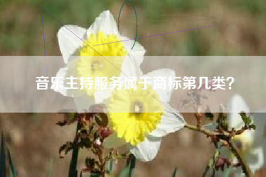 音乐主持服务属于商标第几类？