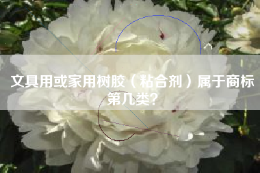 文具用或家用树胶（粘合剂）属于商标第几类？
