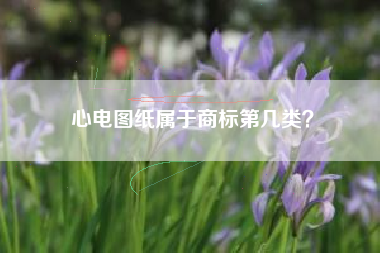 心电图纸属于商标第几类？