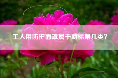 工人用防护面罩属于商标第几类？