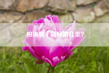 柏油属于商标第几类？